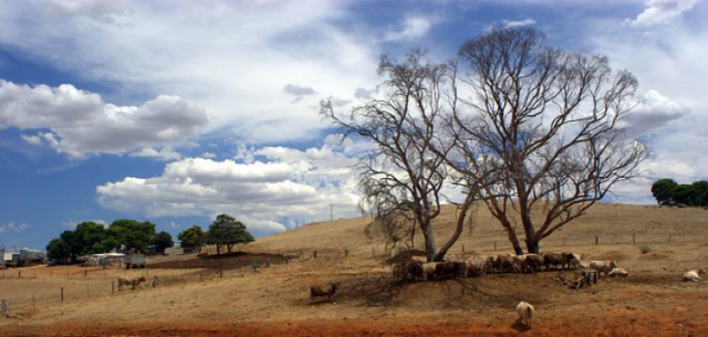 275MW solar-plus-wind-plus-storage superhub approved in South Australia