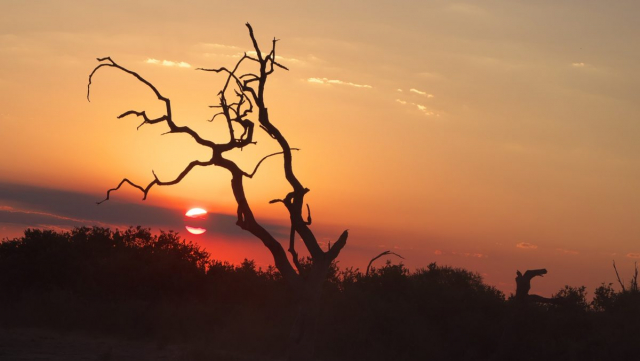 Botswana kicks off 100 MW solar tender