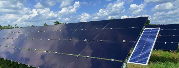 Cypress Creek, Cubico commission South Carolina’s largest PV project