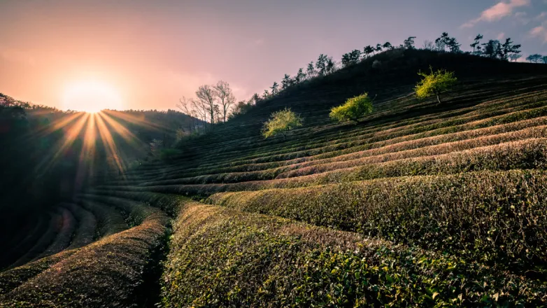 Korea’s South Jeolla province is becoming a solar hub