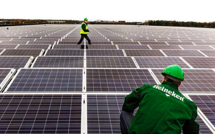 Iberdrola toasts Spanish 50MW solar PPA with Heineken