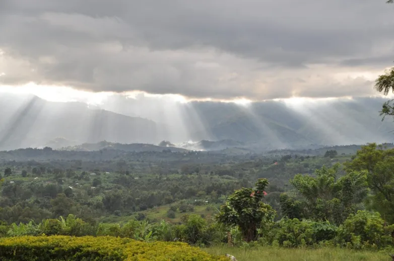 Deal signed for 40 MW solar park in DR Congo