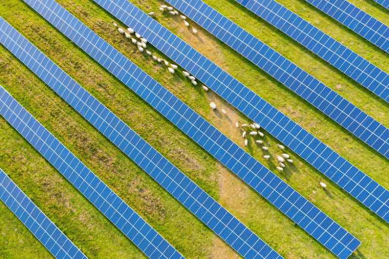 The state of Western Australia is deploying an over 180 megawatt solar park in the south west
