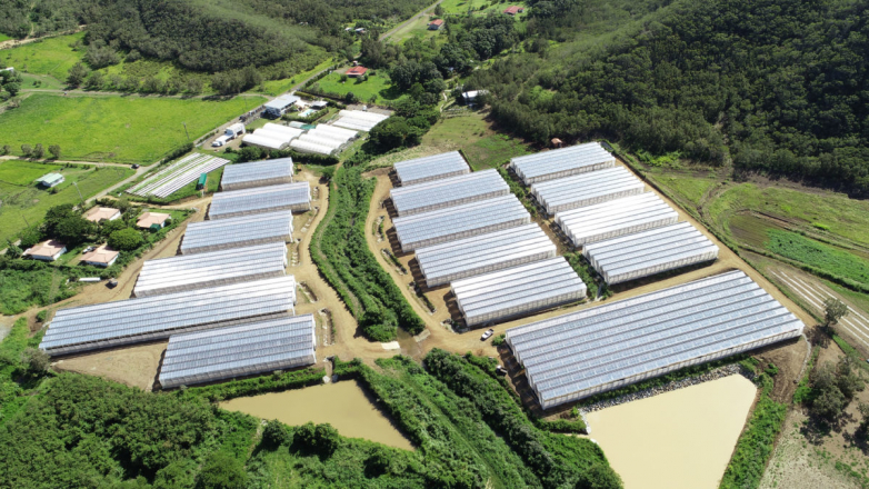 Agrivoltaics in New Caledonia