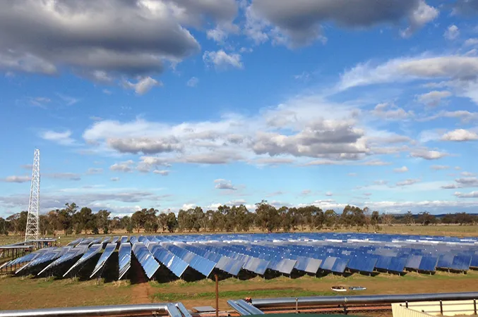 Jemalong solar farm  begins building greatly untouched by Covid-19