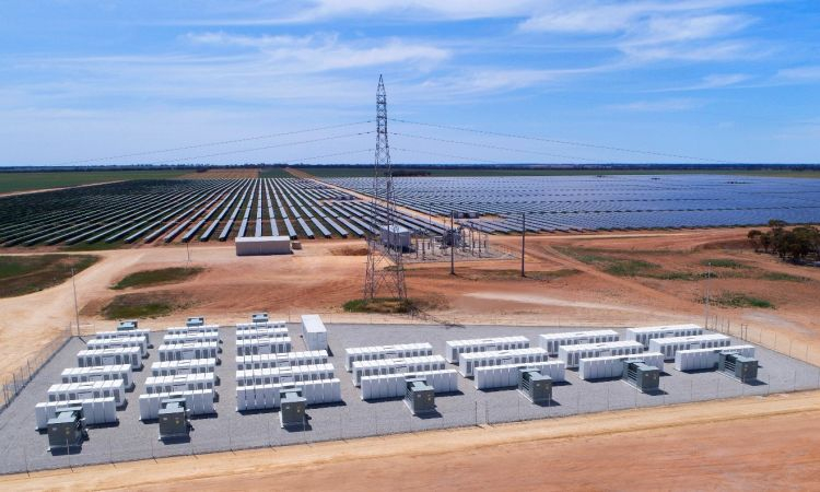 Restraints on Australian solar ranches raised complying with 'massive' sector initiative