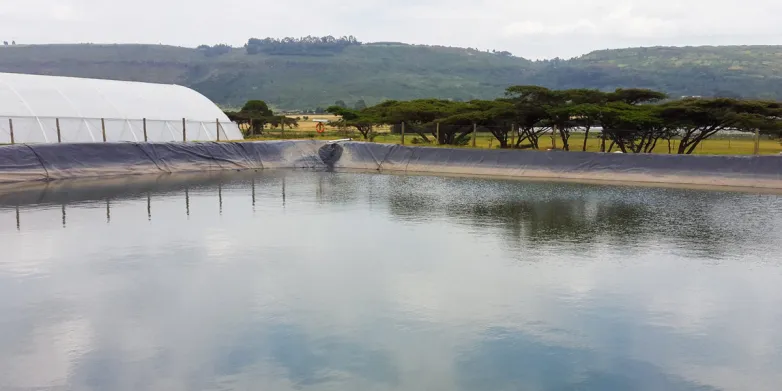 Kenyan floating solar crowdfunding bid might once again wind up smelling of roses
