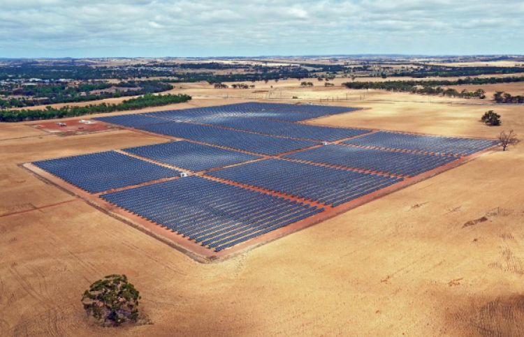 Distributed, large-scale solar assistance Australia's grid as 4.3 GW of brand-new renewable capacity included