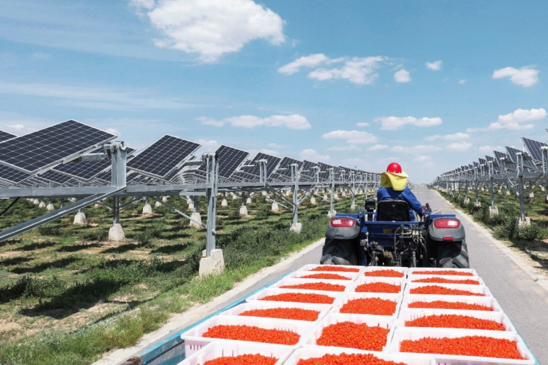 Gigantic agrivoltaic project in China