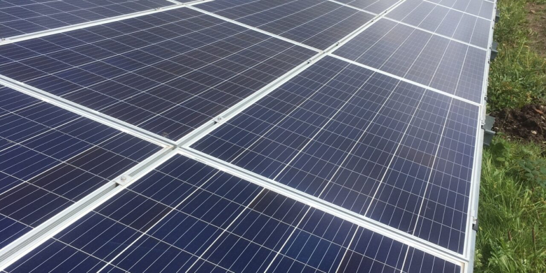 Halton Borough Council celebrates brand-new solar farm to power arena