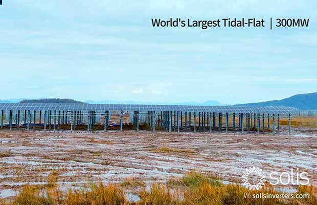 First Batch of World's Largest Tidal-Flat 300MW Utility Scale Solar PV Plant Successfully Connected to the Grid