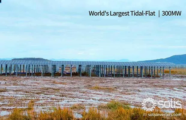 First Batch of World's Largest Tidal-Flat 300MW Utility Scale Solar PV Plant Successfully Connected to the Grid