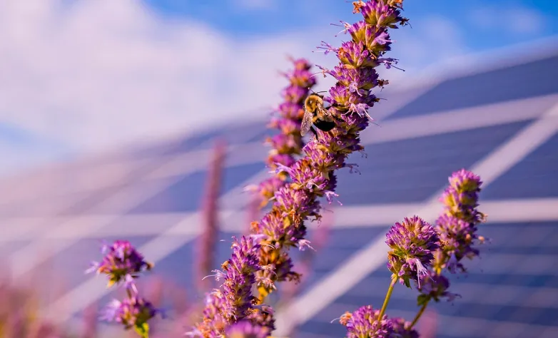 Enel Green Power introduces agrophotovoltaics research projects in southerly Europe