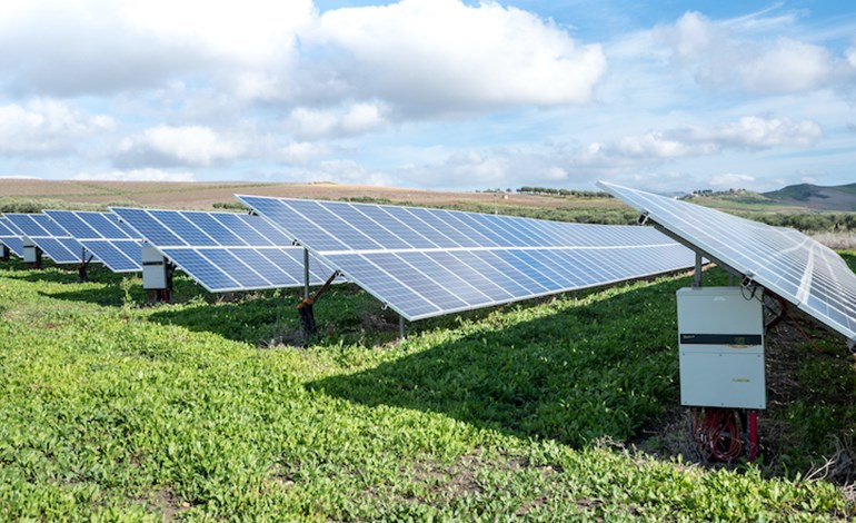 EnBW transforms sod on 300MW German solar