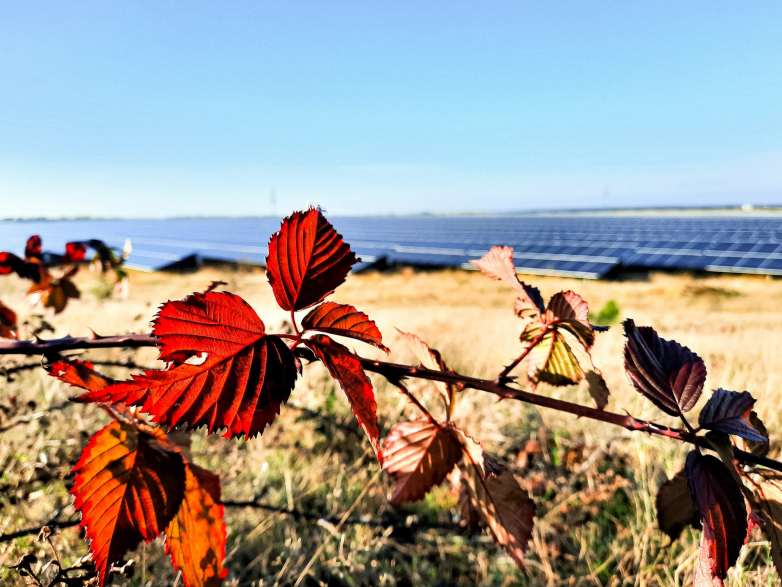 Statkraft introduces 125.5 MWp of brand-new UK solar websites