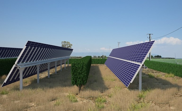 Falck signs offtake for 41MW Italian PV project