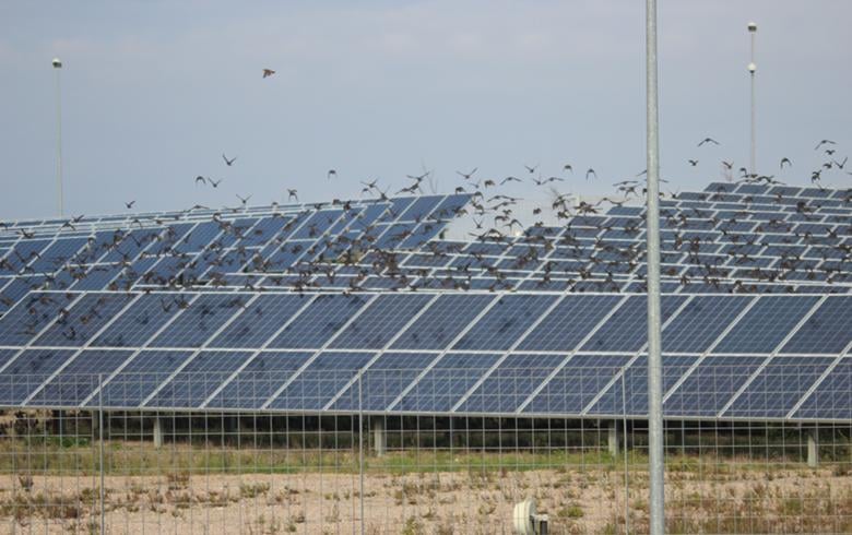 Mytilineos starts structure 200-MW solar park for Greece's PPC