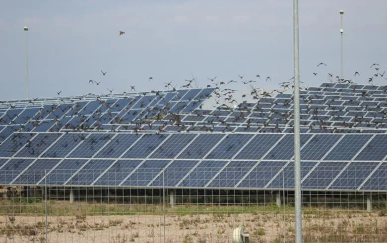 Mytilineos starts structure 200-MW solar park for Greece's PPC