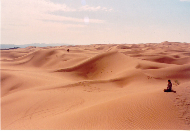 Chinese PV Industry Brief: Giant solar-plus-storage project in the Kubuqi Desert