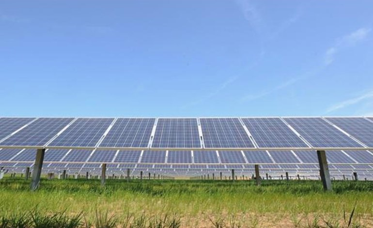 Shell backs 800MW UK solar