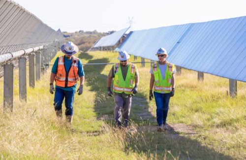 163-MW Elm Branch solar project finished in Texas
