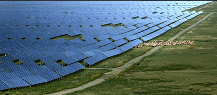 China's Largest PV Plant In Quinghai Offers A research On Co-Existing With Nature