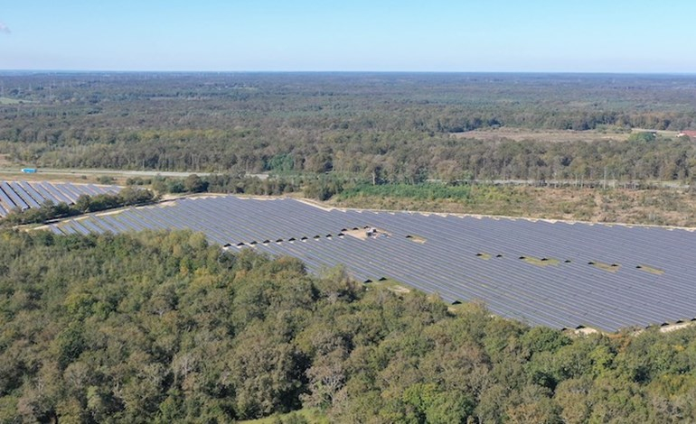 TotalEnergies lets loose 55MW French solar