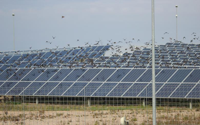 Austria's CCE cuts ribbon at 87-MWp solar farm in Chile