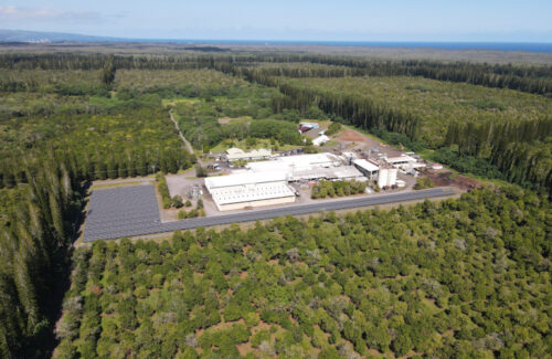 1.2-MW solar project assists power Mauna Loa macadamia nut handling plant in Hawaii