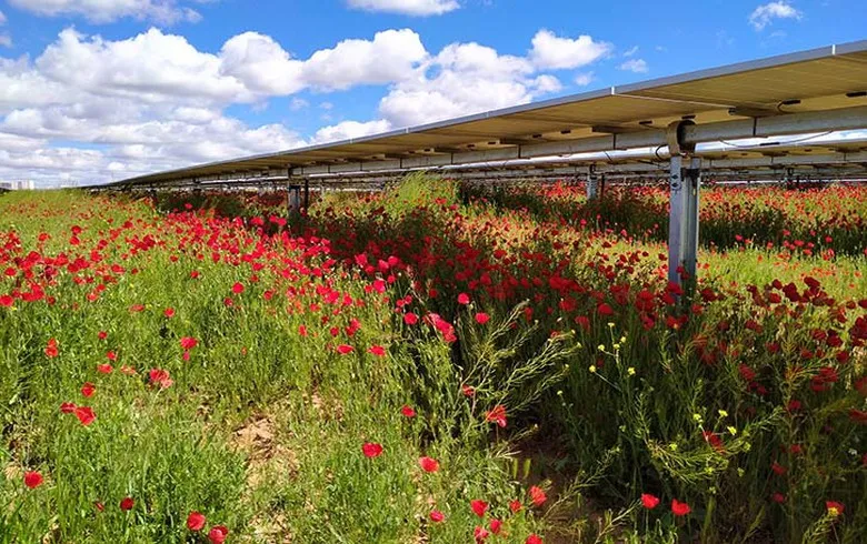 Iberdrola kick-starts deal with 13.5-MW solar project in Portugal