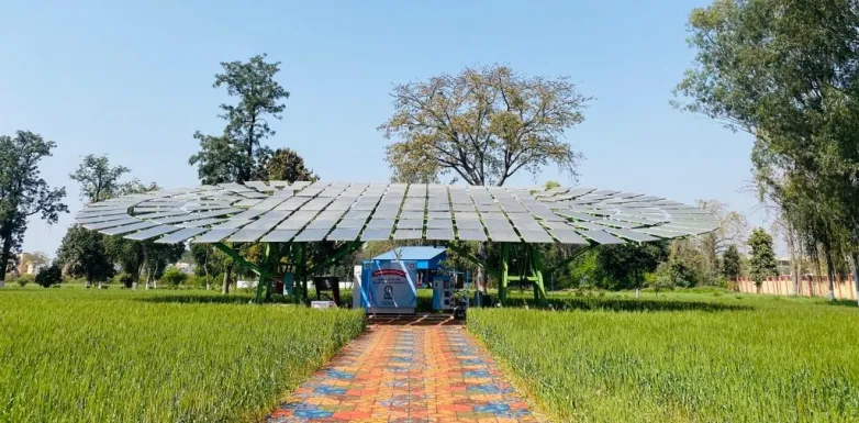 World's biggest solar tree record smashed