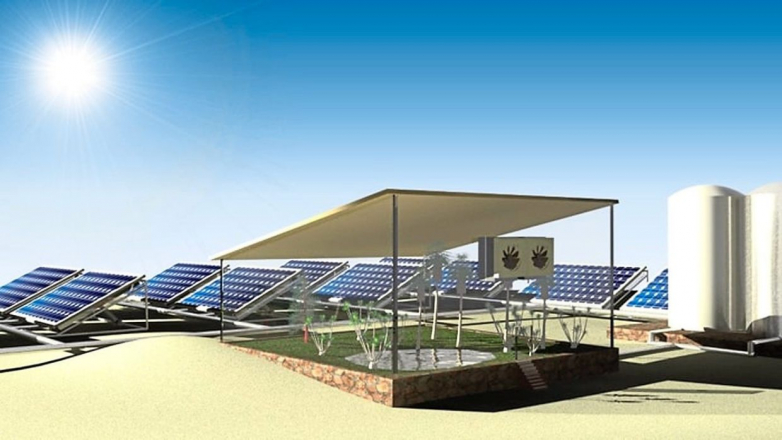 How scientists are expanding spinach in the desert thanks to these brand-new photovoltaic panels