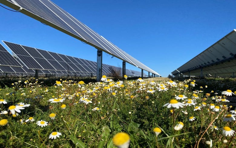 Nordic Solar unveils 48.5-MWp solar farm in Portugal