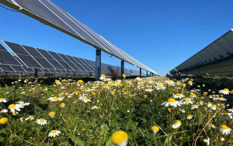 Nordic Solar unveils 48.5-MWp solar farm in Portugal