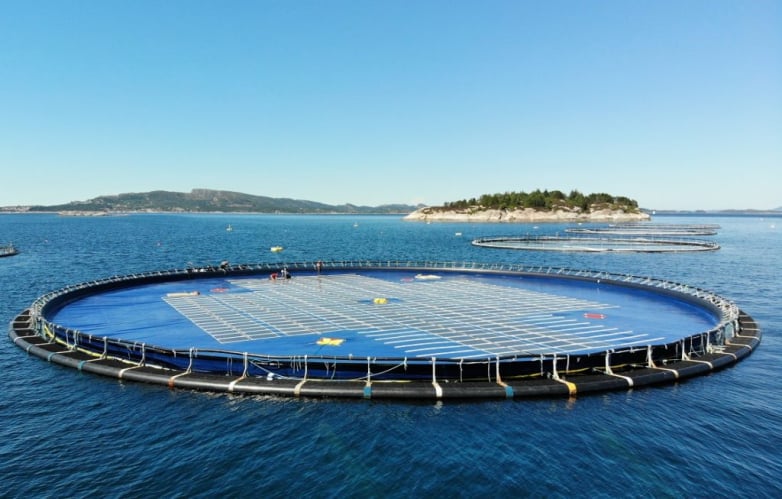 Keppel, Ocean Sun to pilot membrane-based floating PV project in Singapore