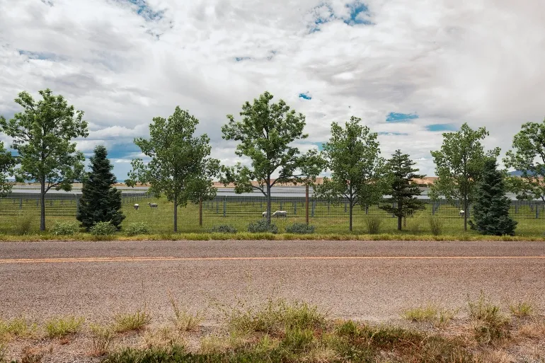 80-MW Colorado solar project will certainly remain a sheep farm