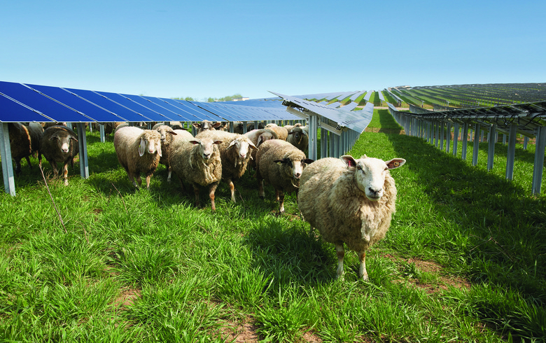 Kajima JV unveils prepare for 44-MW solar park in Wales