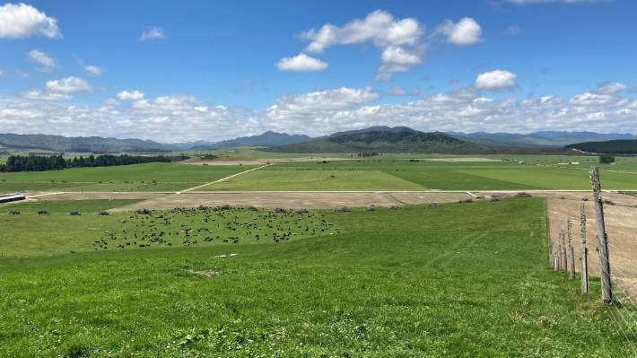 Massive solar farm project near Taupō about to see the light