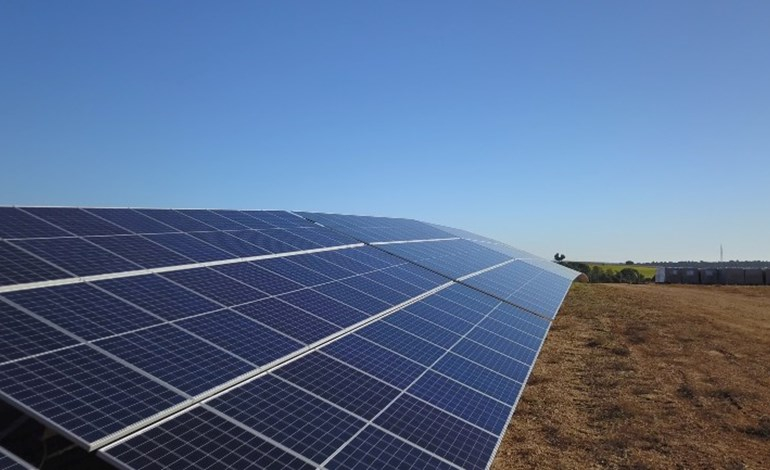 Iberdrola and Solvay sign solar plant offer
