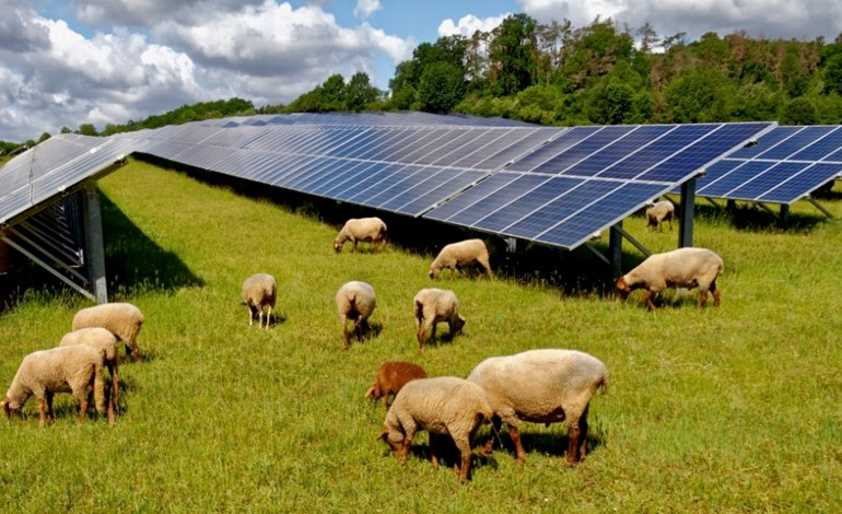 40MW Yorkshire solar farm gets green light