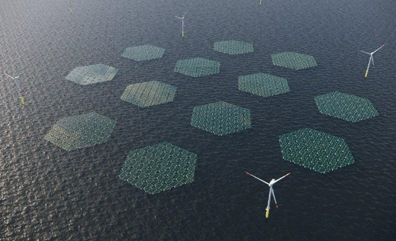 SolarDuck to build offshore solar at Kust West VII