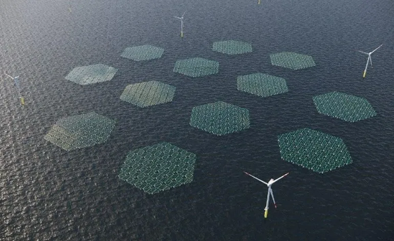 SolarDuck to build offshore solar at Kust West VII