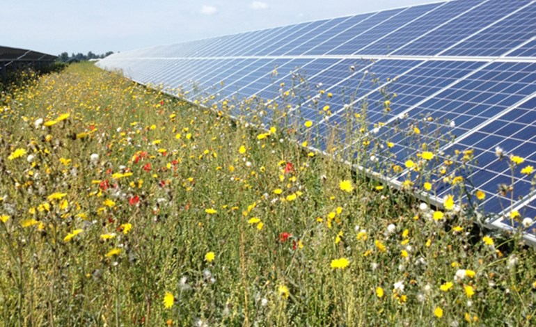 Sonnedix buys 300MW UK solar from Lightsource bp