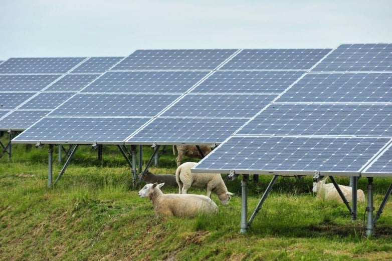 Emerging innovation allows photovoltaic panels and agriculture to exist together, however legal obstacles continue to be