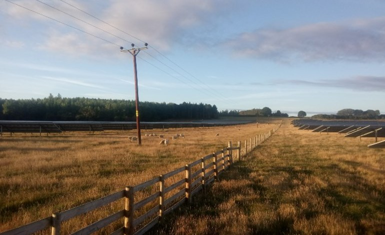 Bluefield obtains permission for four UK solar farms