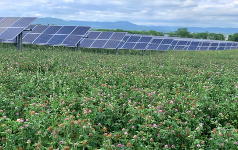 Lightsource bp switches on 25-MW Pennsylvania solar farm