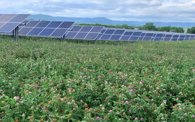 Lightsource bp switches on 25-MW Pennsylvania solar farm