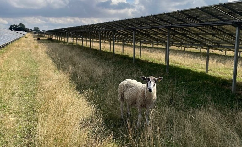 English solar farm gets green light