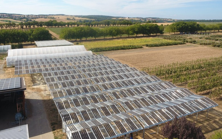 BayWa r.e. installs 685 kWp of agri-PV in orchards in Europe