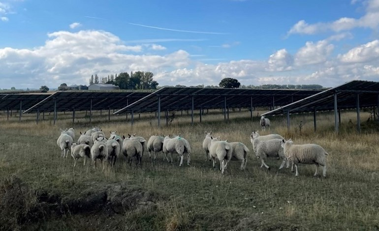 Welsh solar farm wins planning approval
